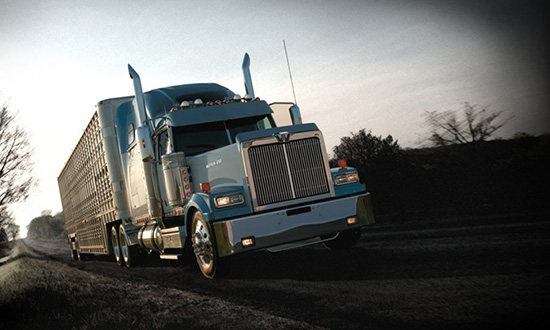 4900 Cattle Hauler Western Star