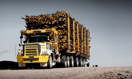 6900 Logging Western Star